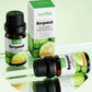 SADOER Bergamot Essential Oil 10ml - Multipurpose Plant Oil for Aromatherapy and Wellness - MAT Beauty