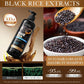 Sadoer Black Rice Shampoo for Anti Hair Loss and Dandruff Relief - 500ml - MAT Beauty